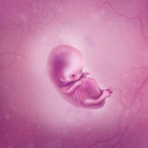 NEW in Ovia Pregnancy! See your growing baby with weekly illustrations. | Ovia Health