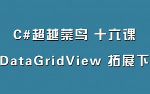 C#超越菜鸟第十六课：DataGridView拓展下集