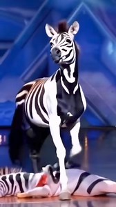 8.6K views · 66 reactions | The giraffe was the best!! 藍藍藍 | One One Mini | Facebook