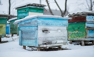 Can I Leave A Honey Super On Over Winter?
