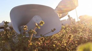 Conservation Snow Goose Dates! No Shoot, No Pay!!! $250/Person per day. Group rates available. Lodging can be arranged. Arkansas Missouri South Dakota Kansas We move with the migration to stay on the birds!! For available dates message or call (870) 819-6947 30% Deposit required to reserve dates. | Elite Outdoorsman