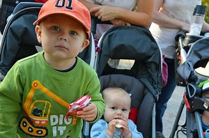 Lions Eat a Chicago Bear at Detroit Zoo (and No One Got Hurt!)
