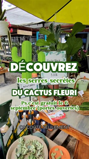 Qui sera des nôtres aux Portes Ouvertes du Cactus Fleuri le samedi 6 septembre? 🌵✨ C’est l’occasion parfaite de découvrir le plus grand producteur de cactus et de plantes grasses au Québec, et ce, depuis plus de 50 ans! 🕙 De 10h à 16h, vous pourrez : 🌐 Assister au lancement de notre nouveau site web rempli d’infos utiles 🌮 Découvrir des recettes originales à base de cactus 😋 Profiter de dégustations et rabais surprises 👧👦 Laisser vos enfants s’amuser avec des activités ludiques : cherche 