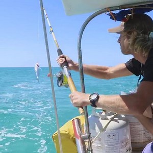 Sailing the Great Bahama Banks on our 37ft sailboat, just the two of us (Captain Jonathan & First Mate Kach) with our sailor kitty cat, Captain Ahab, crewing our boat! It was on overnight crossing that took us 30 hours from Bimini to Nassau.. we slowed down at night! ⛵️ While sailing we set up our fishing pole with a small lure and trailed it behind the boat as we motorsailed at 5.5 to 6.5 knots. We’re new to fishing but we did manage to catch our first fish underway, even if it was a little on 