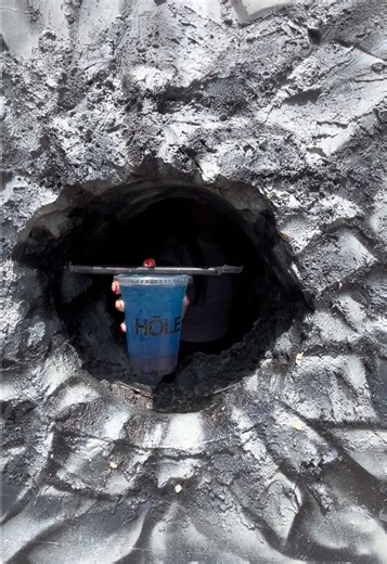 Comprando en el Hoyo: Delicias Japonesas en San Diego