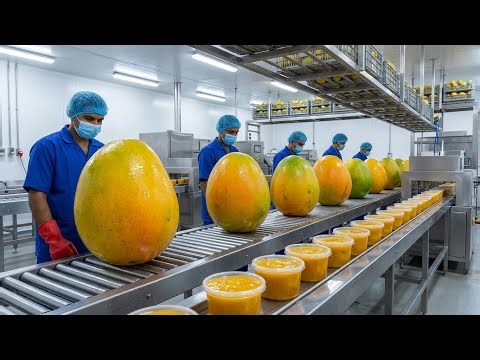Inside a Mango Factory: How Fresh Mangoes Turn Into Pulp & Nectar