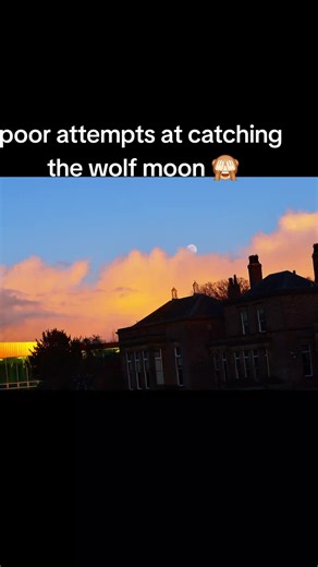 Beginner Photography Tips for Capturing the Wolf Moon
