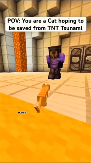 sm on Instagram: "Saved my Cat from a TNT Tsunami 😭💣💥 My poor cat almost got blown away in Minecraft! 🐱🔥 Will he survive the next explosion? 💀💔 --- In this epic Minecraft survival moment, I saved my adorable cat from a massive TNT tsunami! 💥🐱 Watch how everything exploded around us while I tried to protect my pet from total destruction. This Minecraft rescue story is full of action, emotions, and explosions! 💣🔥 Perfect for Minecraft lovers who enjoy crazy survival moments and animal r