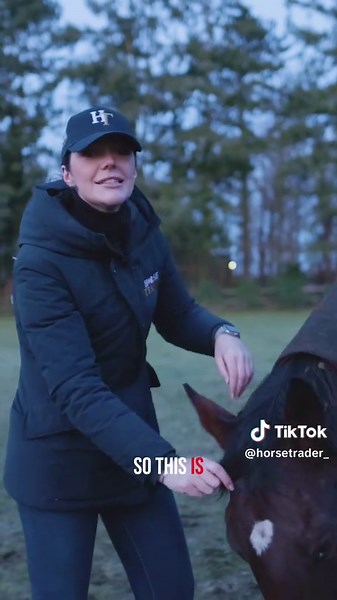 𝑴𝒆𝒆𝒕 𝑻𝒉𝒆 𝑻𝒆𝒂𝒎 Meet Alice, Director and Head of Partnerships at Horse Trader, leading our partnership strategy with focus and a strong understanding of the equestrian industry. She plays a key role in shaping collaborations that move our mission forward. #HorseTrader #YourDigitalYardForAllThingsEquestrain #MeetTheTeam #BehindTheScenes #TeamIntro #MeetOurTeam #StaffSpotlight #EquestrianTeam #HorseLife #HorseLovers #EquestrianLife #HorseCommunity #StableLife #HorsetraderTeam #HorseBusine