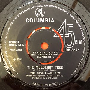 The Dave Clark Five - The Mulberry Tree