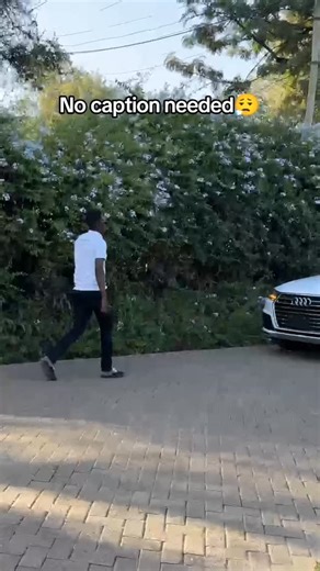 Stratusmotorskenya on Instagram: "🔥*2018 AUDI Q7 2.0T TFSI S-LINE*🔥 _Specs_ 2000cc Petrol :: QUATTRO AWD :: 7 Seater :: Premium Leather Seats :: Power Adjustable Memory Seats with Heating & Massage :: Multi-Zone Climate Control :: Virtual Cockpit Digital Display :: MMI Navigation Plus with Touchpad :: Apple CarPlay & Android Auto :: Wireless Phone Charging :: Premium Sound System :: Ambient Interior Lighting :: Aluminium Interior Inlays :: Acoustic Glazing :: Adaptive / Matrix LED Headlights w