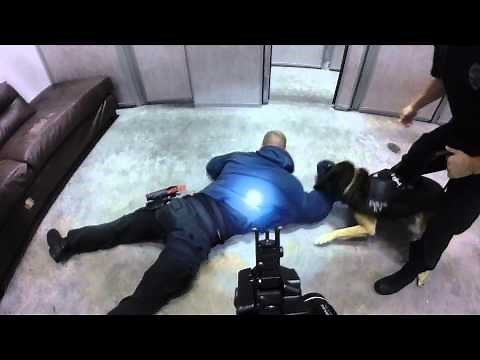 K-9 Tactical Building Clearing