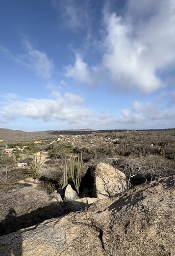 Aruba travel highlights 2026: top sights and tips