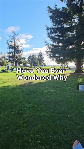 Explore Marina Park: Family Fun in San Leandro