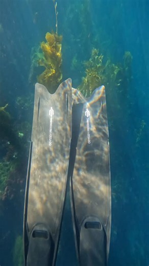 Catalina Island Mermaids™️ on Instagram: "Becoming a PADI Mermaid Instructor starts by just having curiosity to want to try it! You don't have to know you are going "all the way" just to try it. The first step in our Mermaid Instructor Pathway is taking the PADI Mermaid Class. In this class you learn basic freediving techniques and principals before entering the water to learn how to swim and navigate in a monofin. The second portion teaches you different twists, turns, partner performance skill