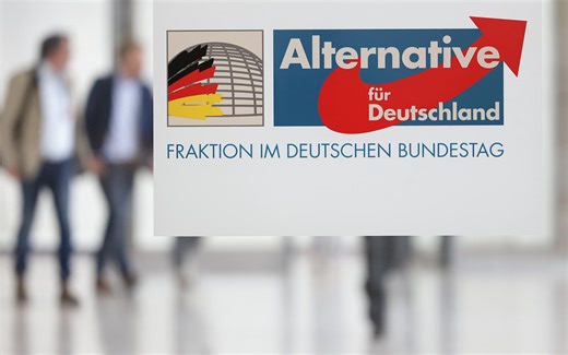La classification "extrémiste" visant l'AfD suspendue après le recours du parti allemand | RTS