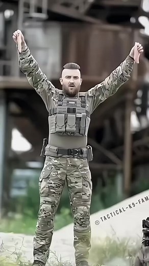 #k9 #dog #tactical #training #training #trending #dogsoftiktok #trainingdog #dogstraining | Dogs k9