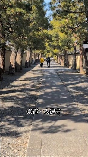 大徳寺│静けさの中を歩く│Daitokuji Temple Kyoto