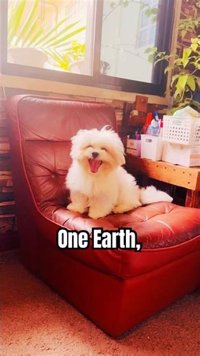 Application for Best Friend: OPEN!