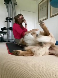 Try to lie down with your dog...Hugo VS Huxley 🤦🏻‍♀️ | Hugo and Ursula