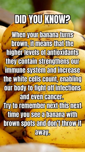 4.4K views · 61 reactions | Wilderness Long-Term Survival Guide on Reels | Facebook