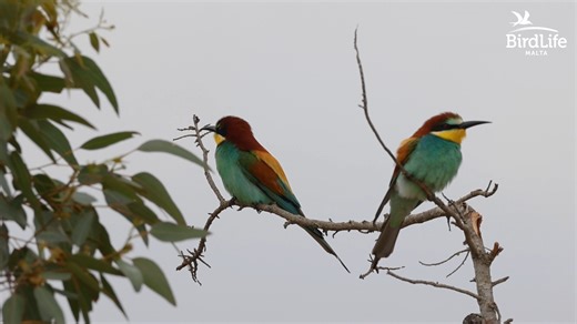 18K views · 290 reactions | At this time of the year it is not...