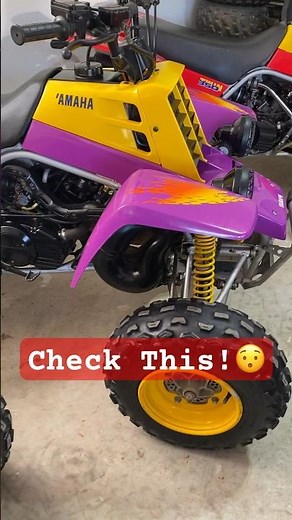 Yamaha Banshee Collection /Banshee vs 250r ?