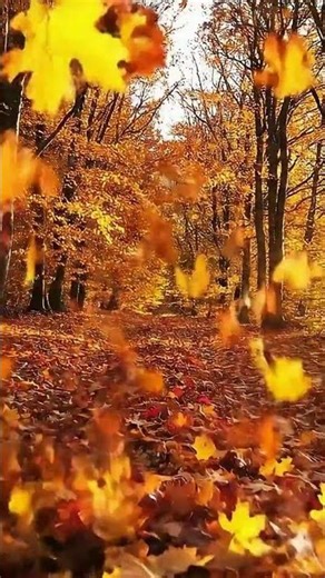 Autumn Leaves Rustling & Falling – Calm Nature Sounds for Relax & Focus