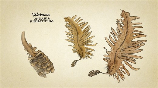 Analiese Gregory shows how you really can use everything the Earth provides. Join us Thursday for a NEW episode of A Girl's Guide To Hunting, Fishing, and Wild Cooking! 📺: RFD-TV Thursday, 9 PM ET 💻 : RFD-TV Now App Stream Episodes Any Time | RFD-TV