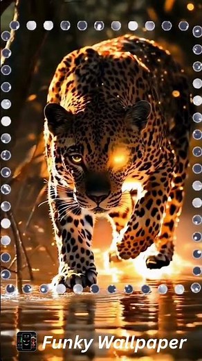 Epic Neon Lion & Tiger Live Wallpaper 4K | Ultra HD Animation AMOLED Background Tiger Live Wallpaper