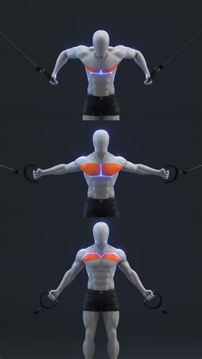 YouCan on Instagram: "🔥 Cable Chest Fly (Upper, Mid, Lower) A single cable setup can target the entire chest. By changing the cable height and arm path, you can emphasize the upper, mid, or lower chest for balanced development and constant tension. Sets & Reps / Frequency Upper chest (low to high fly) 3–4 sets × 10–15 reps 2 times per week Mid chest (mid-level fly) 3–4 sets × 10–15 reps 2 times per week Lower chest (high to low fly) 3–4 sets × 10–15 reps 1–2 times per week Focus on control, ful