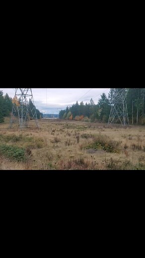 Check out Yelm's newest trail, the Yelm Prairie Line Trail that goes across the Nisqually River. This trail was funded almost entirely through State grants. Trail is open now, bridge will be open in December! | Joe DePinto