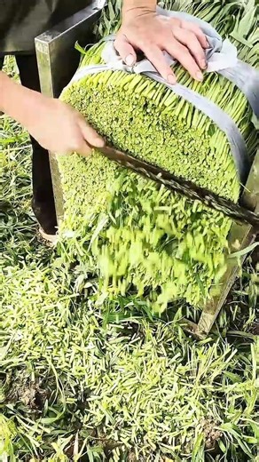 cutting several layers of dark denim fabric using a sharp silver industrial cloth cutting machine