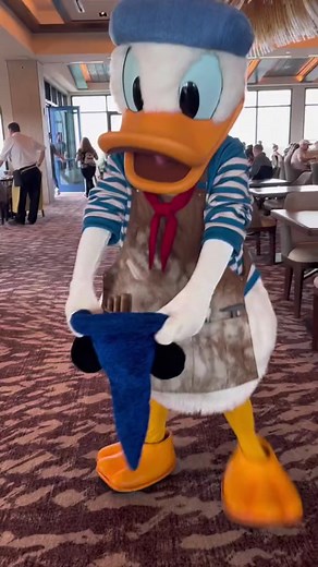 The day Donald made fun of Mickey Mouse! It was very funny! 😅😂💙 #disney #disneyparks #donaldduck #mickeymouse