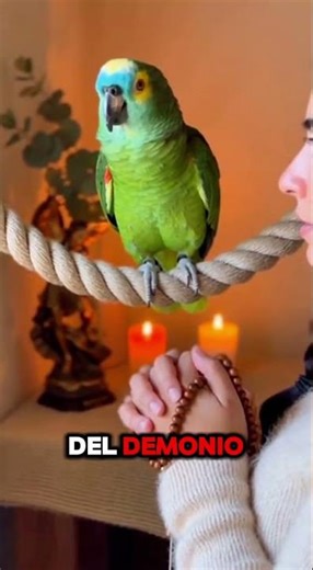 Este LORO reza a SAN MIGUEL ARCÁNGEL 🙏🦜 | Oración poderosa