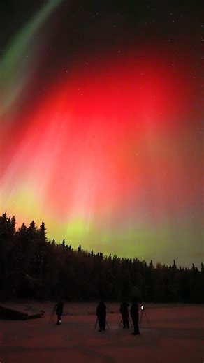 Brilliant red aurora approaching from the southern horizon tonight south of Fairbanks, Alaska. Real-time video. The colors were intense and easily visible with the naked eye. | Vincent Ledvina - 'The Aurora Guy'