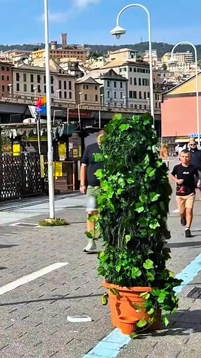 3.4K views · 85 reactions | You won't stop laughing  #cheerful #video #prank #ZoOm #comedy #funny | Super Prank | Facebook