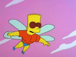 Bart - Superfly