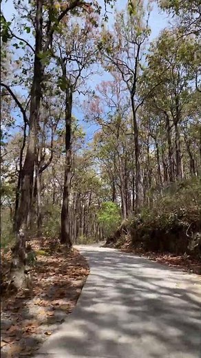 Uttarakhand’s Most Famous City | Dehradun