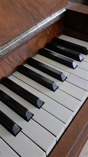 Viking art, in all its sophistication, presents a striking contrast with the stereotype of the rude and restless barbarian. Viking craftsmen excelled in woodworking, metalworking and weapons making with abstracted animal forms. Many Viking weapons and ships bore elaborate patterns of interlocking anthropomorphic figures. Runic texts and complementary scenes were frequently inscribed on stone. The Viking love of riddling phrases and schemes of rhyme yielded a rich poetic tradition and tales of my