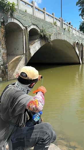 136K views · 884 reactions | New products are now available, with free shipping! Please click on the store on our homepage for more details. | Jack-T | Facebook