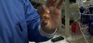 La fundación de Bill Gates financia una batería que convierte orina en electricidad