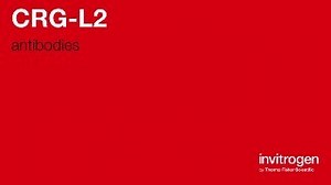CRG-L2 antibodies from Thermo Fisher Scientific