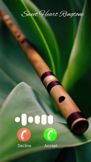 Best Krishna Flute Music Ringtone | Instrumental BGM MP3 Call Tune #flute #krishna #ringtone #shorts