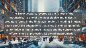 Discovering Bhutans Natural Wonders: Top 10 Native Fauna