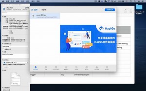 HapiGo 查询 FileMaker 函数演示视频