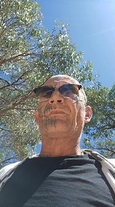 In the bush | Scott Smith