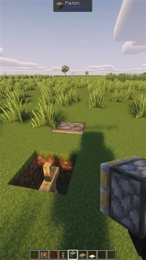 How to Make Insect Decorations (Java). Rate 1 - 10?