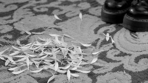 53 reactions · 3 comments | When the world is full of rules... when the status quo isn't for you, what do you do? Meet rock n' roller Rebel Haze, WOW's newest superhero | WOW Superheroes | Facebook