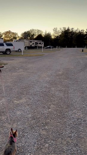 Here are the TOP 5 things to do when traveling with pets 🐾 1️⃣ Plan Pet-Friendly Stops 🗺️ Find parks, trails, and rest areas where your furry friend can stretch their legs and burn off energy. 2️⃣ Pack Pet Essentials 🎒 Bring food, water, bowls, leash, waste bags, and any meds. Don’t forget their favorite toy or blanket for comfort! 3️⃣ Book Pet-Friendly Stays 🏨 Always confirm hotels, RV parks, or rentals welcome pets—and check their rules before you go. 4️⃣ Keep Safety First 🚗 Use a travel 